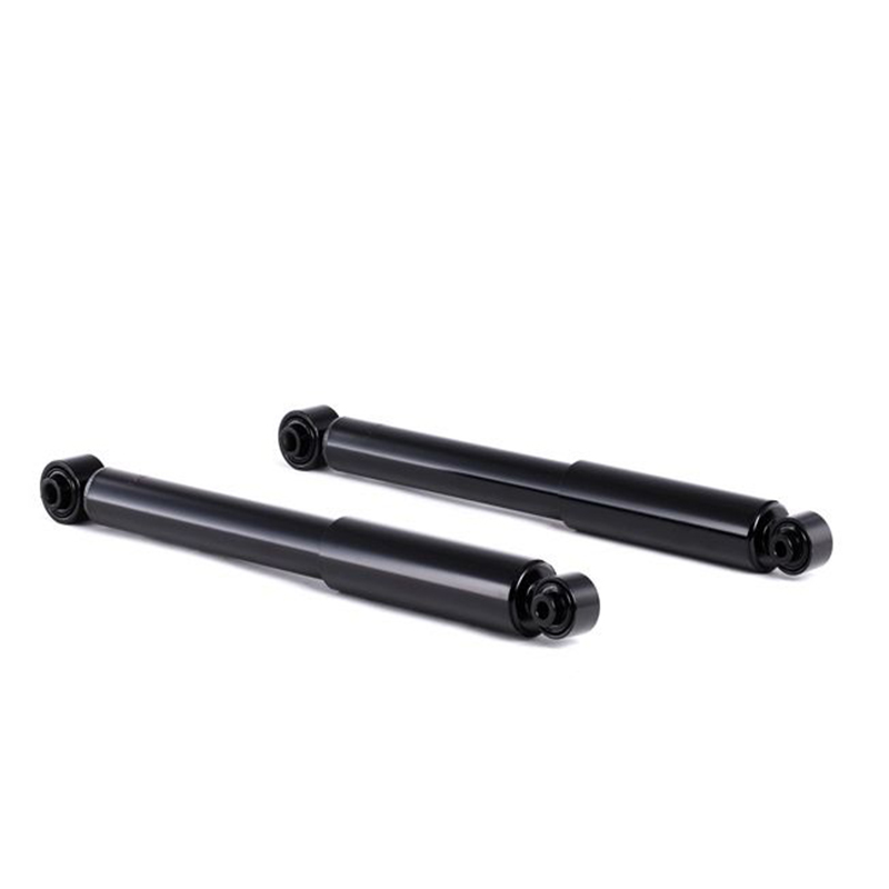 Peugeot 1007 AMORTIZOR Spate